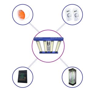 KIT STARTER QUANTUM LITE...