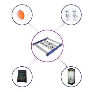 KIT STARTER QUANTUM LITE...