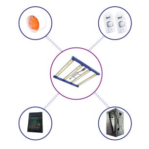 KIT STARTER QUANTUM LITE...