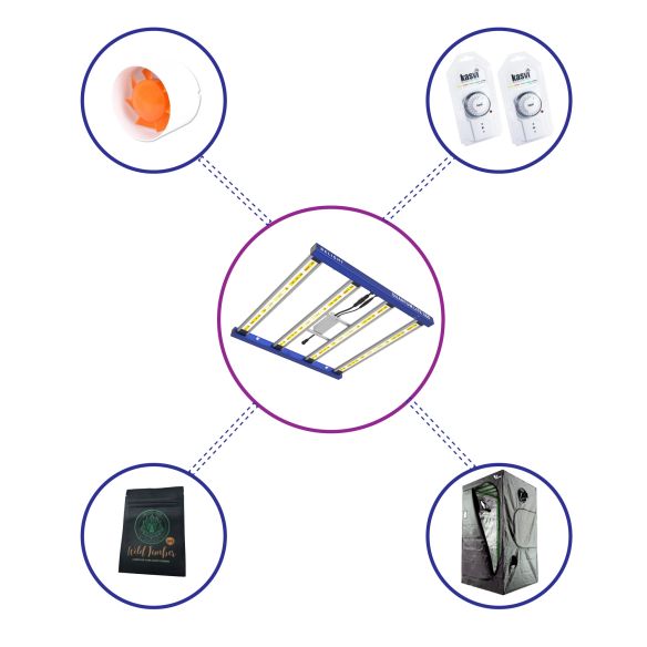 KIT STARTER QUANTUM LITE DELIGHT 100- 360W FÁCIL ARMADO