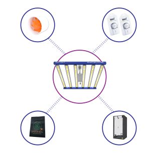 KIT STARTER QUANTUM LITE...