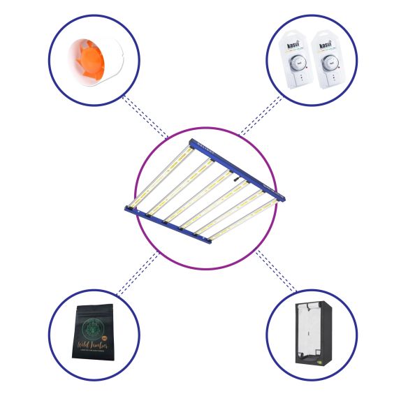 KIT STARTER QUANTUM LITE DELIGHT PLUS 120- 720W FÁCIL ARMADO