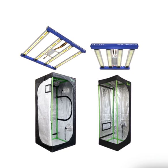 PACK LED INDOOR 80X80 QUANTUM LITE - DELIGHT - 160W Y 360W