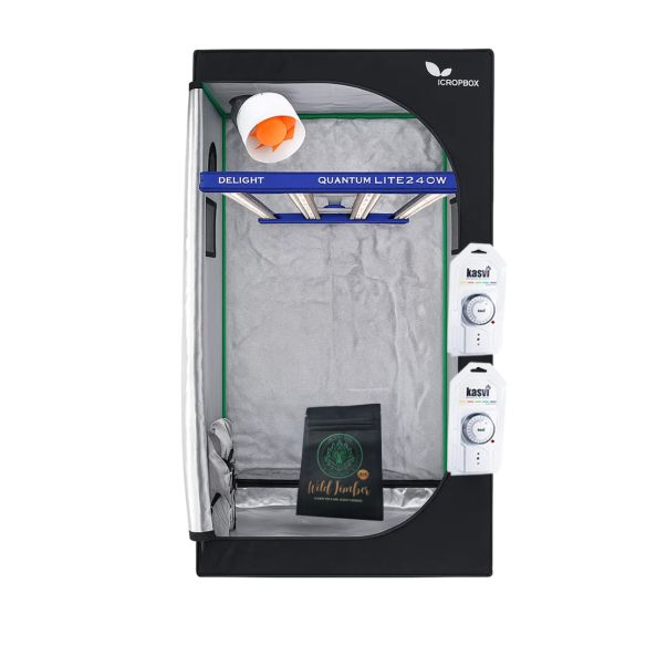 KIT STARTER QUANTUM LITE DELIGHT 80- 240W FÁCIL ARMADO