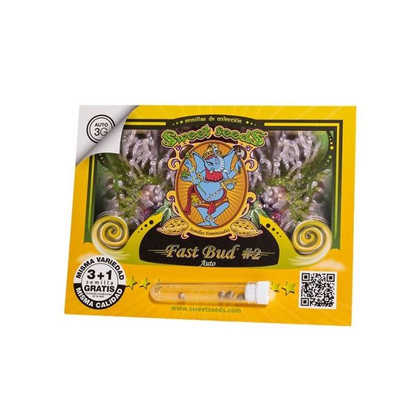 FAST BUD 2 AUTO X3+1-SWEET SEEDS