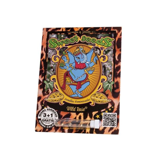 WILD ROSE FEM X3+1-SWEET SEEDS