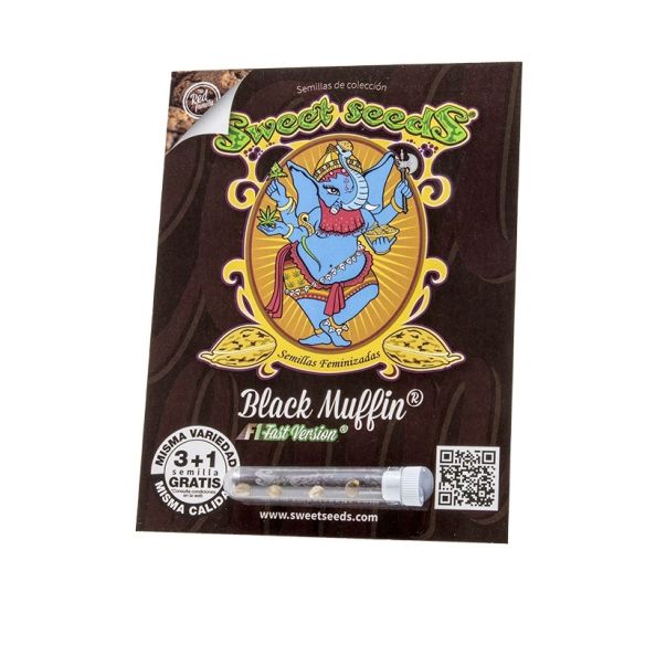 BLACK MUFFIN F1 FAST VERSION X3+1-SWEET SEEDS