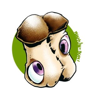 DC MACK - 2 JERINGAS DE...