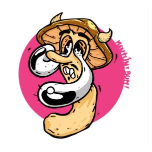 THAI PINK BUFFALO - 2...