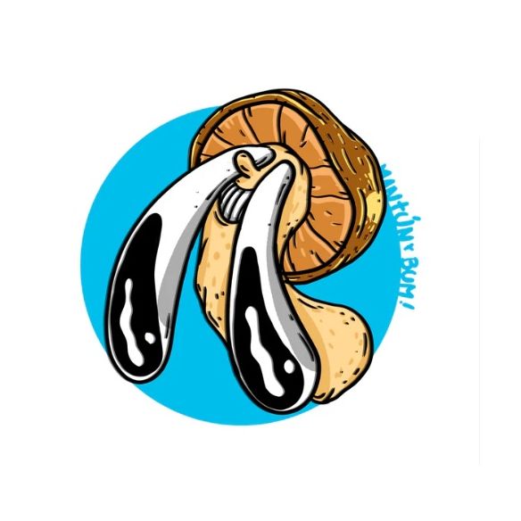 KIT PRIMORDIO 10LT-MANTUN