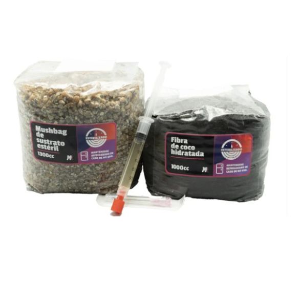 KIT PRIMORDIO 10LT-MANTUN