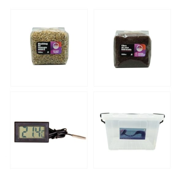 KIT PRIMORDIO 10LT-MANTUN