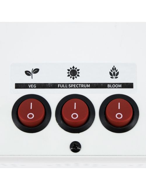 APOLLO EVOLUTION 6 180W-DELIGHT