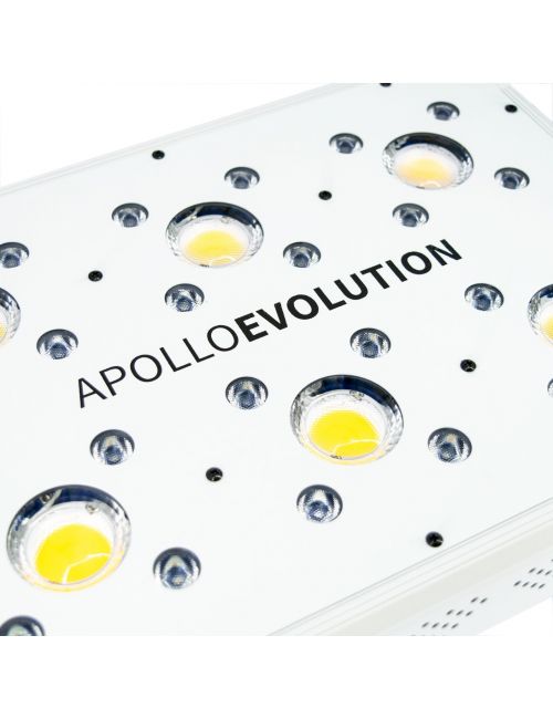 APOLLO EVOLUTION 6 180W-DELIGHT