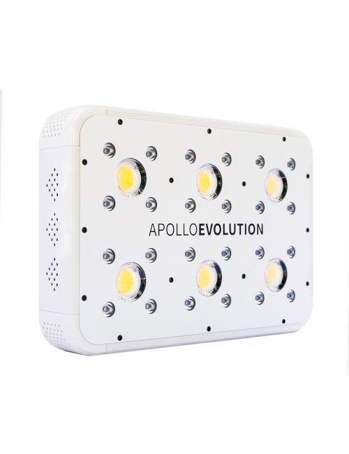 APOLLO EVOLUTION 6 180W-DELIGHT
