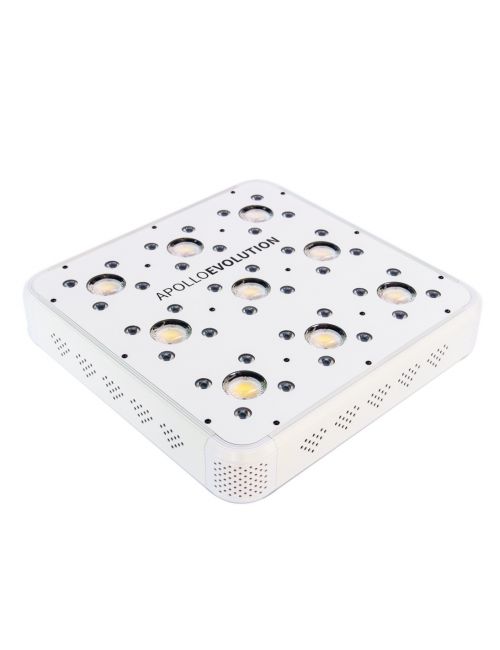 APOLLO EVOLUTION 9 280W-DELIGHT