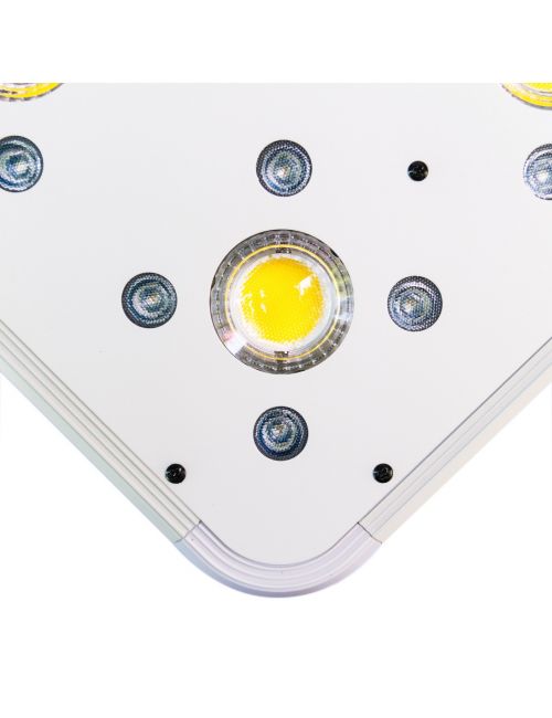 APOLLO EVOLUTION 9 280W-DELIGHT