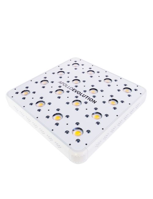 APOLLO EVOLUTION 16 480W-DELIGHT