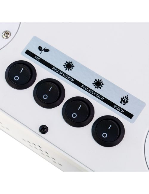 APOLLO EVOLUTION 16 480W-DELIGHT