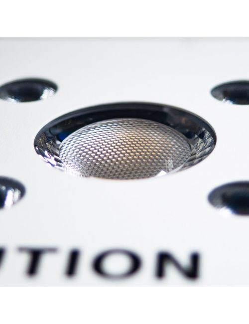 APOLLO EVOLUTION 9 280W-DELIGHT