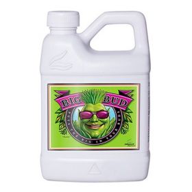 BIG BUD 500ML-ADVANCED...