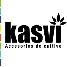 Kasvi